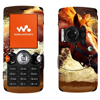   «  »   Sony Ericsson W810i