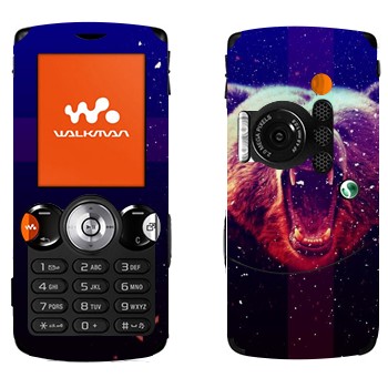 Sony Ericsson W810i