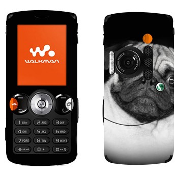   «»   Sony Ericsson W810i