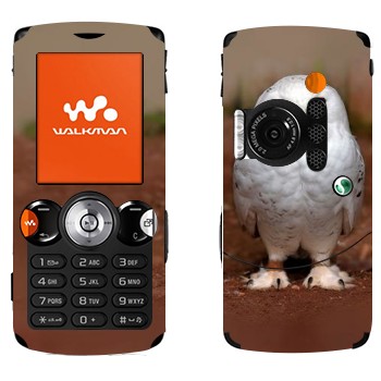   « »   Sony Ericsson W810i