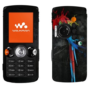   « »   Sony Ericsson W810i