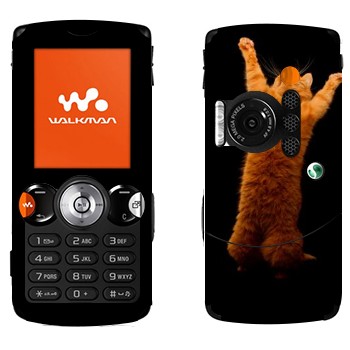   «     »   Sony Ericsson W810i