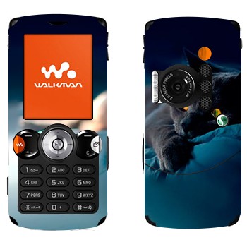 Sony Ericsson W810i