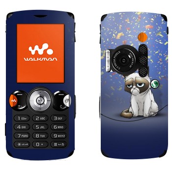   «   »   Sony Ericsson W810i