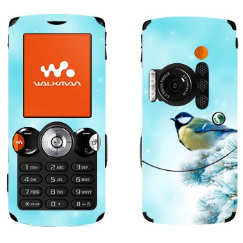   «  »   Sony Ericsson W810i