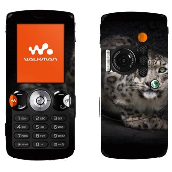 Sony Ericsson W810i