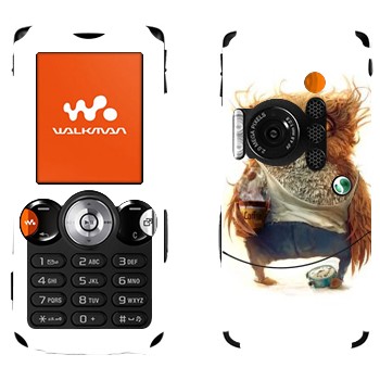 Sony Ericsson W810i