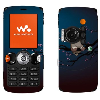   «  »   Sony Ericsson W810i