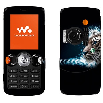   « »   Sony Ericsson W810i