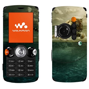   «   -  »   Sony Ericsson W810i