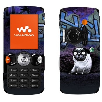 Sony Ericsson W810i