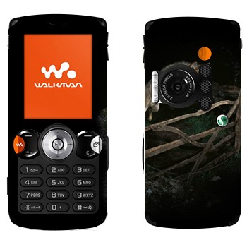   «  »   Sony Ericsson W810i