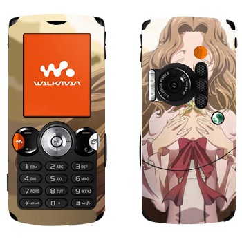   «Nunnally -  »   Sony Ericsson W810i