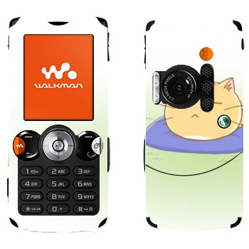   «Poyo »   Sony Ericsson W810i