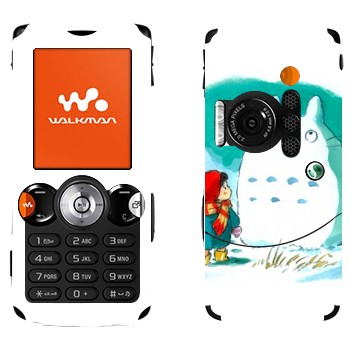 Sony Ericsson W810i