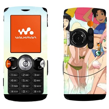   « - »   Sony Ericsson W810i