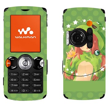   «  -   »   Sony Ericsson W810i