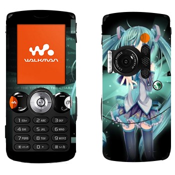   «  - »   Sony Ericsson W810i