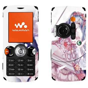   «  - »   Sony Ericsson W810i