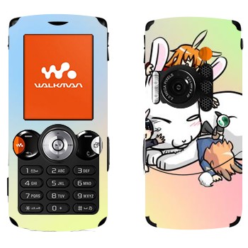   «  »   Sony Ericsson W810i