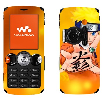   «:  »   Sony Ericsson W810i