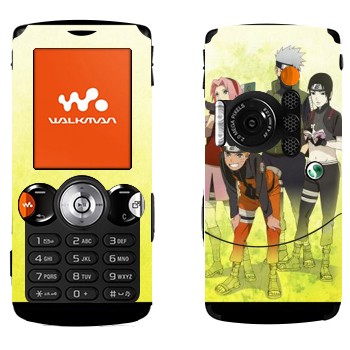   «  »   Sony Ericsson W810i