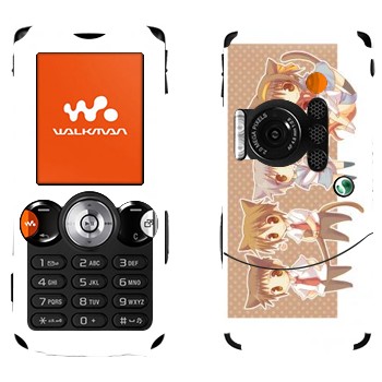   «   »   Sony Ericsson W810i