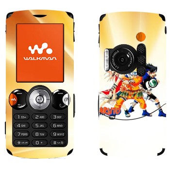   «, , »   Sony Ericsson W810i