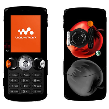   «  - »   Sony Ericsson W810i