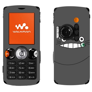   « »   Sony Ericsson W810i