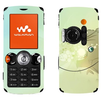 Sony Ericsson W810i