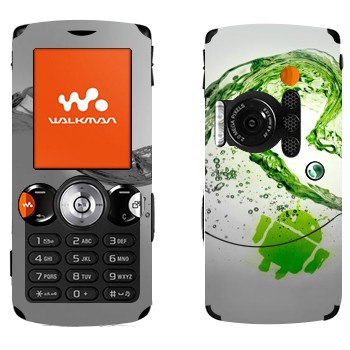 Sony Ericsson W810i