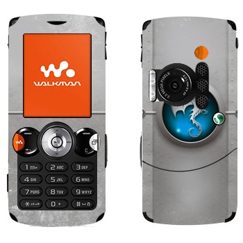 Sony Ericsson W810i