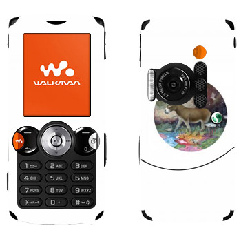 Sony Ericsson W810i