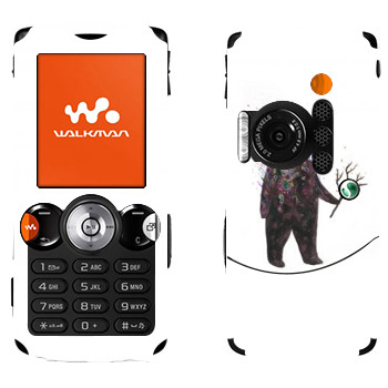 Sony Ericsson W810i