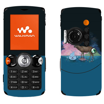 Sony Ericsson W810i