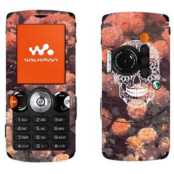 Sony Ericsson W810i