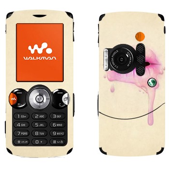   «  »   Sony Ericsson W810i