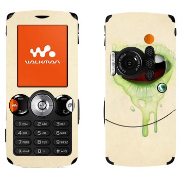   «  »   Sony Ericsson W810i