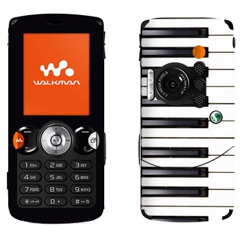   «»   Sony Ericsson W810i