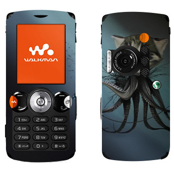 Sony Ericsson W810i