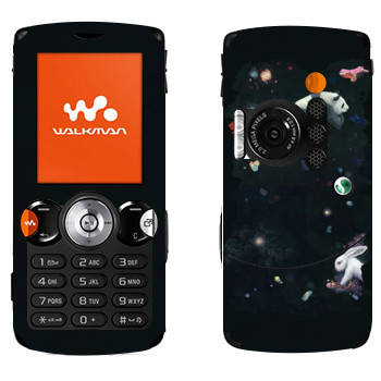   «   - Kisung»   Sony Ericsson W810i