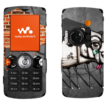   « »   Sony Ericsson W810i