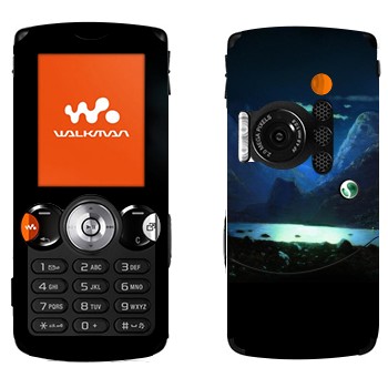   «  -  »   Sony Ericsson W810i