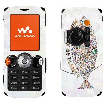   «  - Kisung»   Sony Ericsson W810i