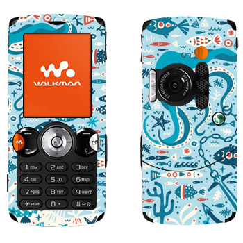 Sony Ericsson W810i