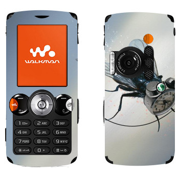 Sony Ericsson W810i