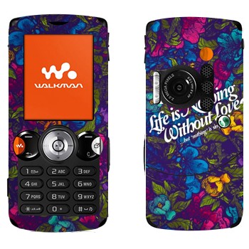 Sony Ericsson W810i