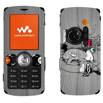 Sony Ericsson W810i