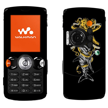   «  »   Sony Ericsson W810i